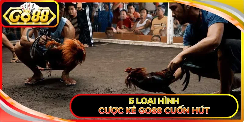 5 loại hình cược kê GO88 cuốn hút