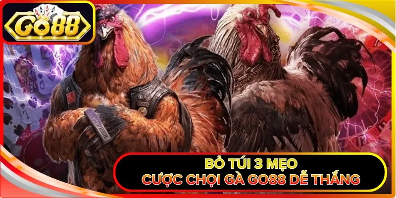 Bỏ túi 3 mẹo cược chọi gà GO88 dễ thắng