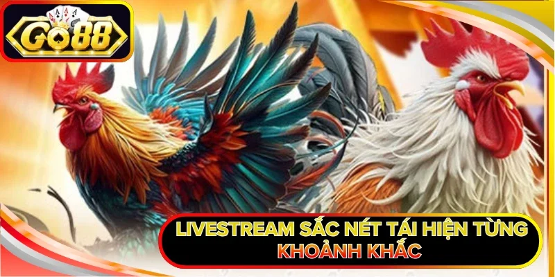 Livestream sắc nét tái hiện từng khoảnh khắc